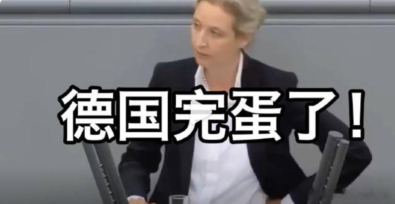 Afd内部分两块，这位叫爱丽丝·伊丽莎白·魏德尔，她和中国也有些关系，她在中国银