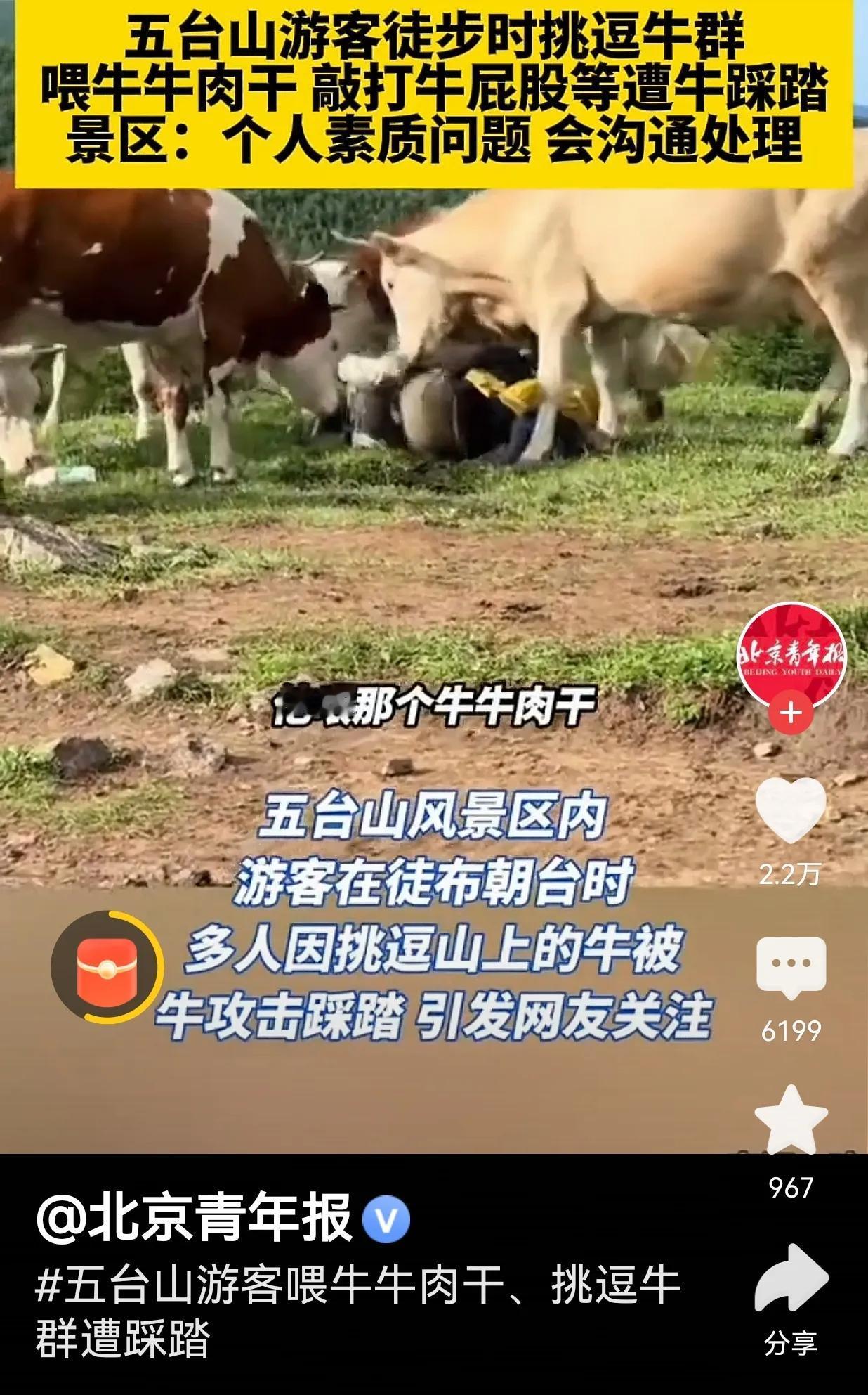 隔着屏幕都感受到疼痛了！但是，这能怪谁呢？你不招惹它，它会招惹你吗？这就叫做“杀