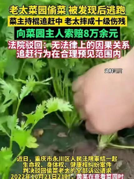重庆永川，一男子发现菜园有人偷香菜，大声喝止，并持棍将其吓跑，没想到，偷菜的老太