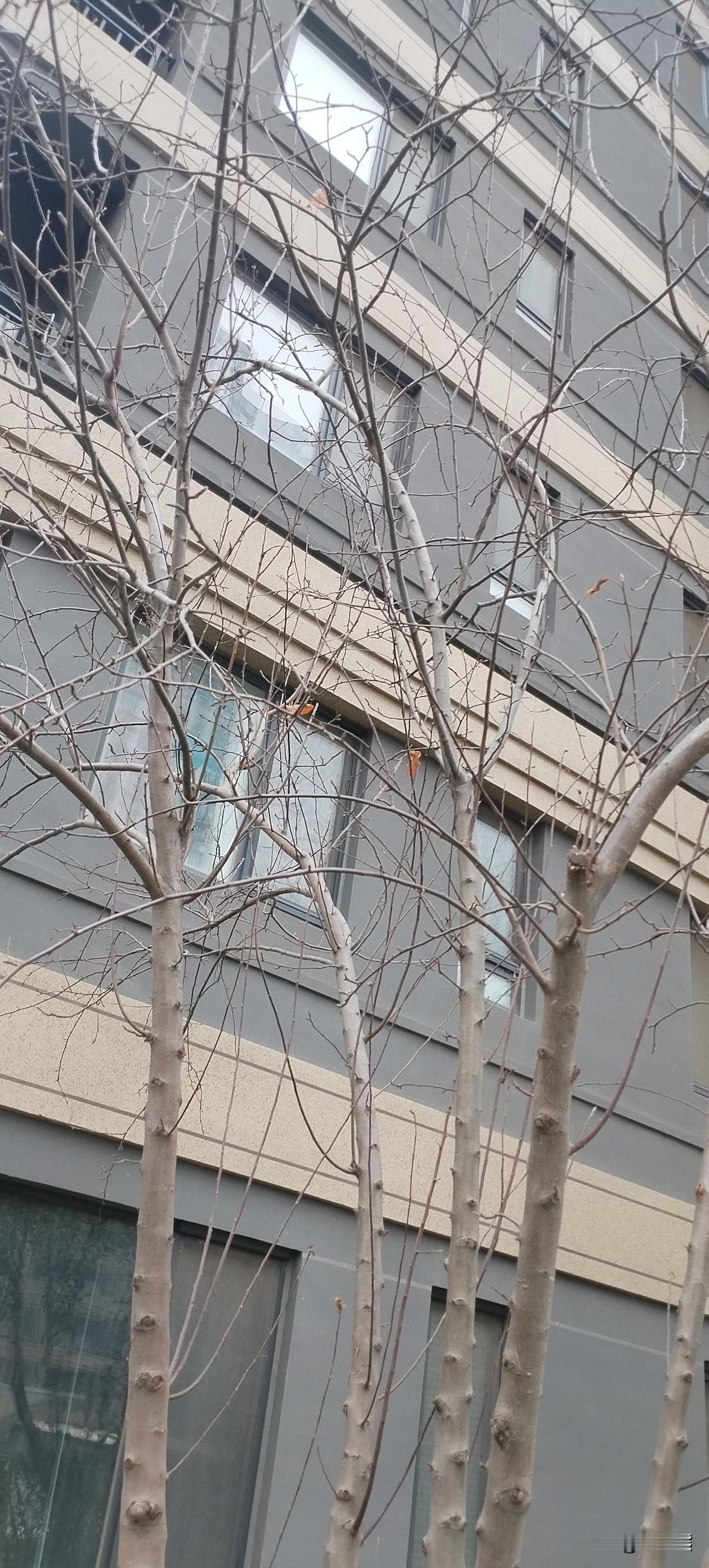 人这一生中珍贵的东西，不会是房子，也不会是车子，而是在困难时，有人拉你一把的微光