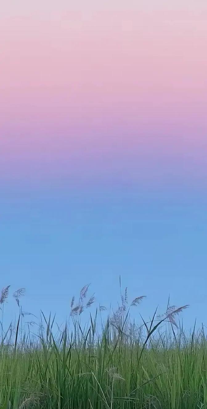 陈默一句“健身是把妹最划算的投资”直接把评论区炸成两半。

我刷到那条视频时，播