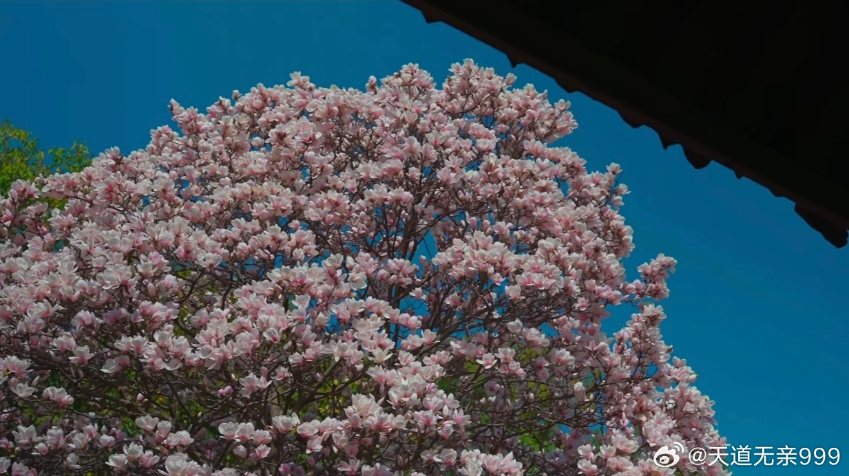 十五五规划新指标新看点中国过去发展用的是“粗犷快速模式”，现在要进入“精耕细作慢