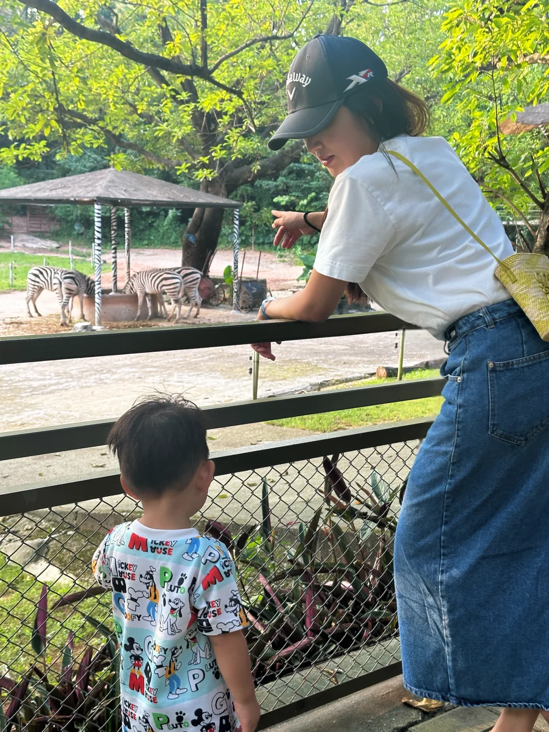 国庆碎片｜留在深圳的遛娃🎉