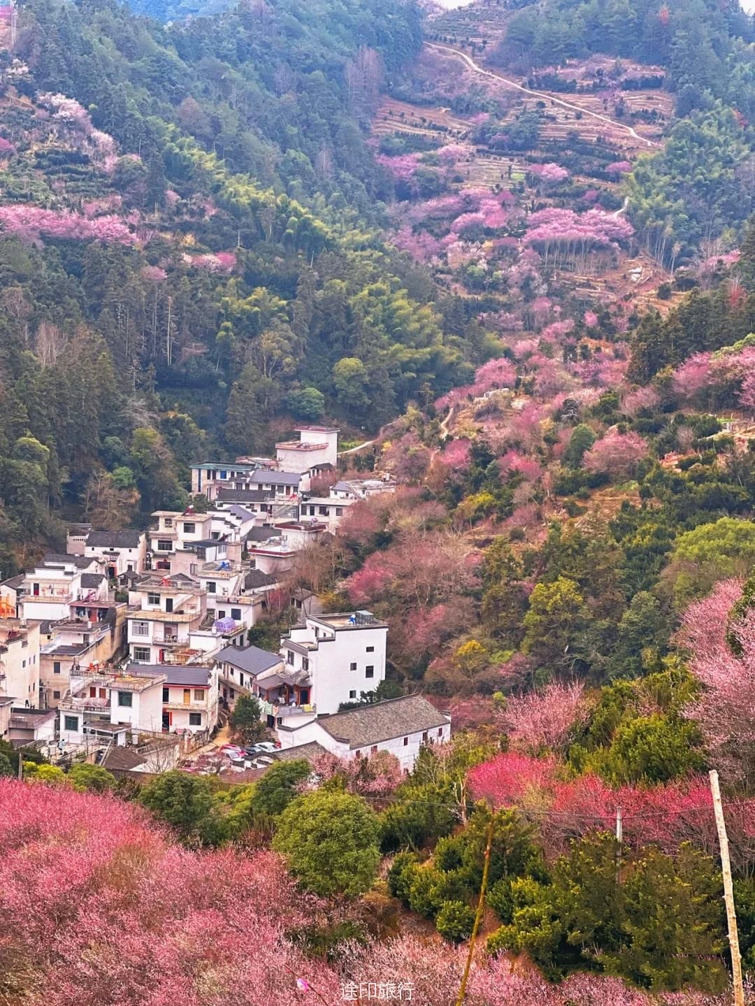春节徒步卖花渔村打卡网红阳产土楼
