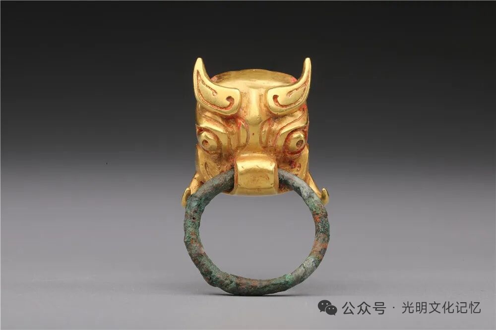 2025全国十大考古新发现这几年受老婆影响，也对考古和博物馆特别感兴趣。很好奇，