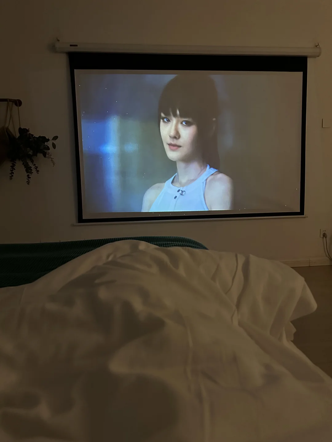 误打误撞住进了流星花园 想姗姗了……