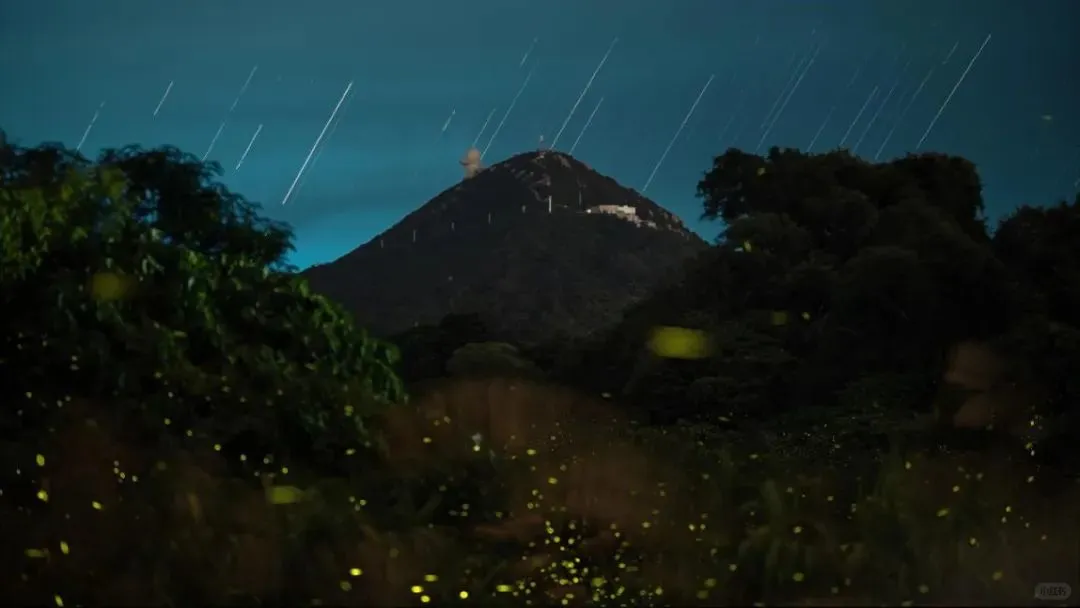 雨停了、快来暗夜社区看萤火虫、看星星