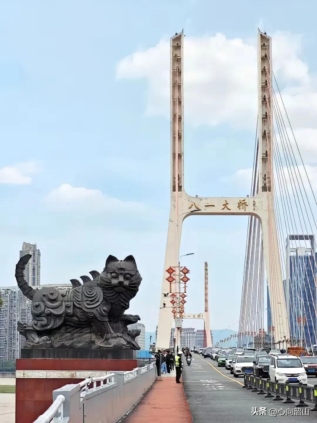 我支持拆除，我们山东自古以来有句民间俗语，曰：“猫为奸臣，狗为忠臣”，况且这两只