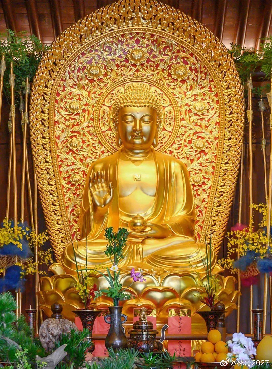 波段当下处于底部安全区域，短线还会来回震荡，慢慢靠近主升浪的启动节点。明天多看看