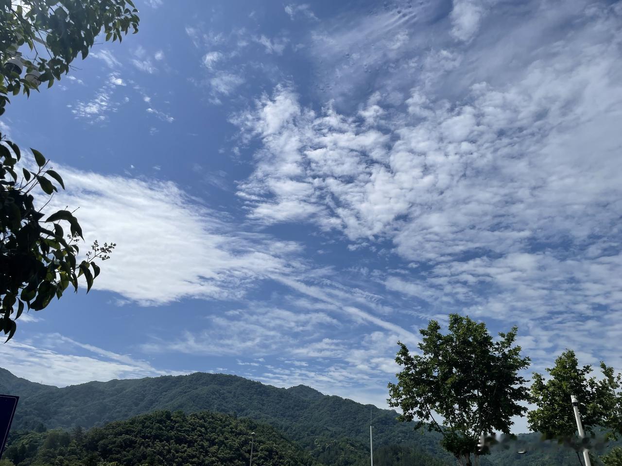蓝天白云在夏日里很常见，随手一拍就是景。
