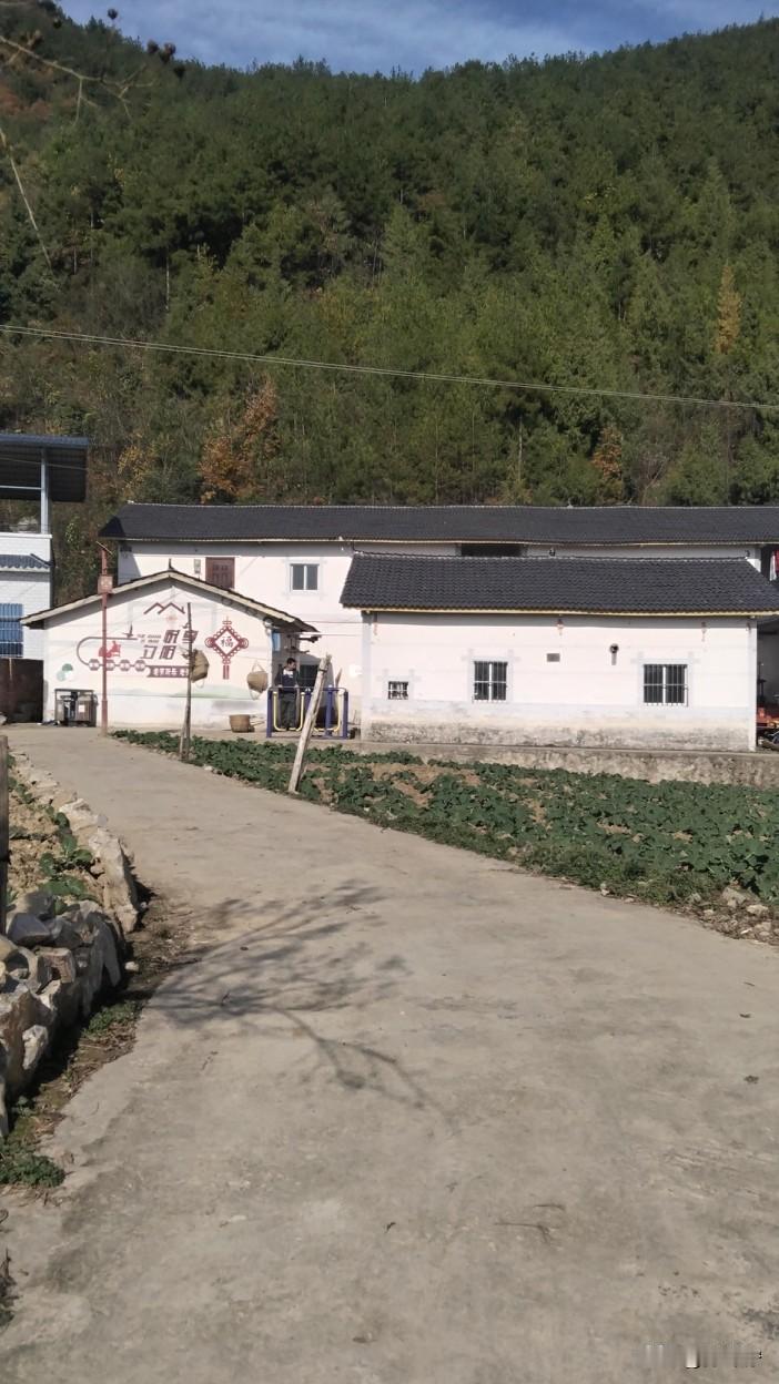 走在乡间的小路上，听着鸡鸣狗叫，这种感觉像是回到了小时候。我看到了国家给村里修的