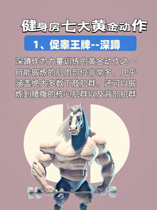 健身房七大黄金动作