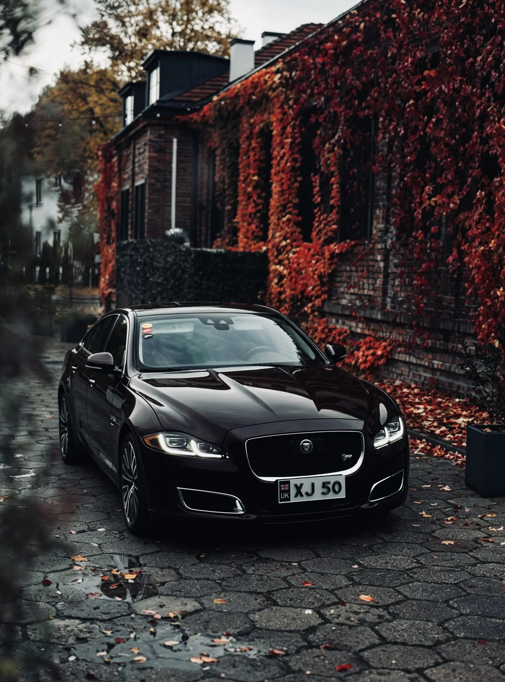 你的样子，优雅永不过时。