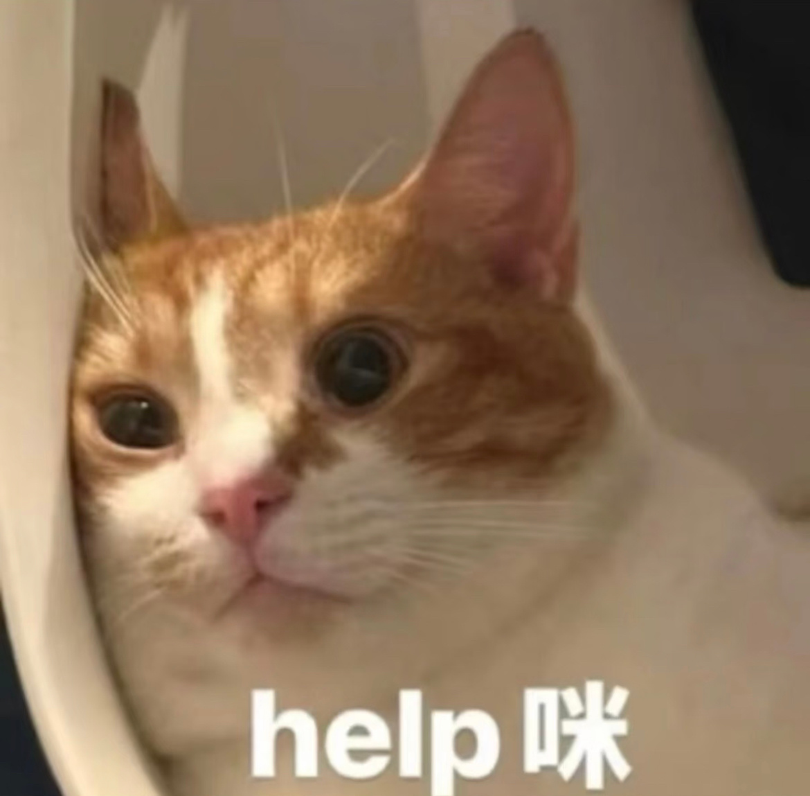 在123适里还出不来