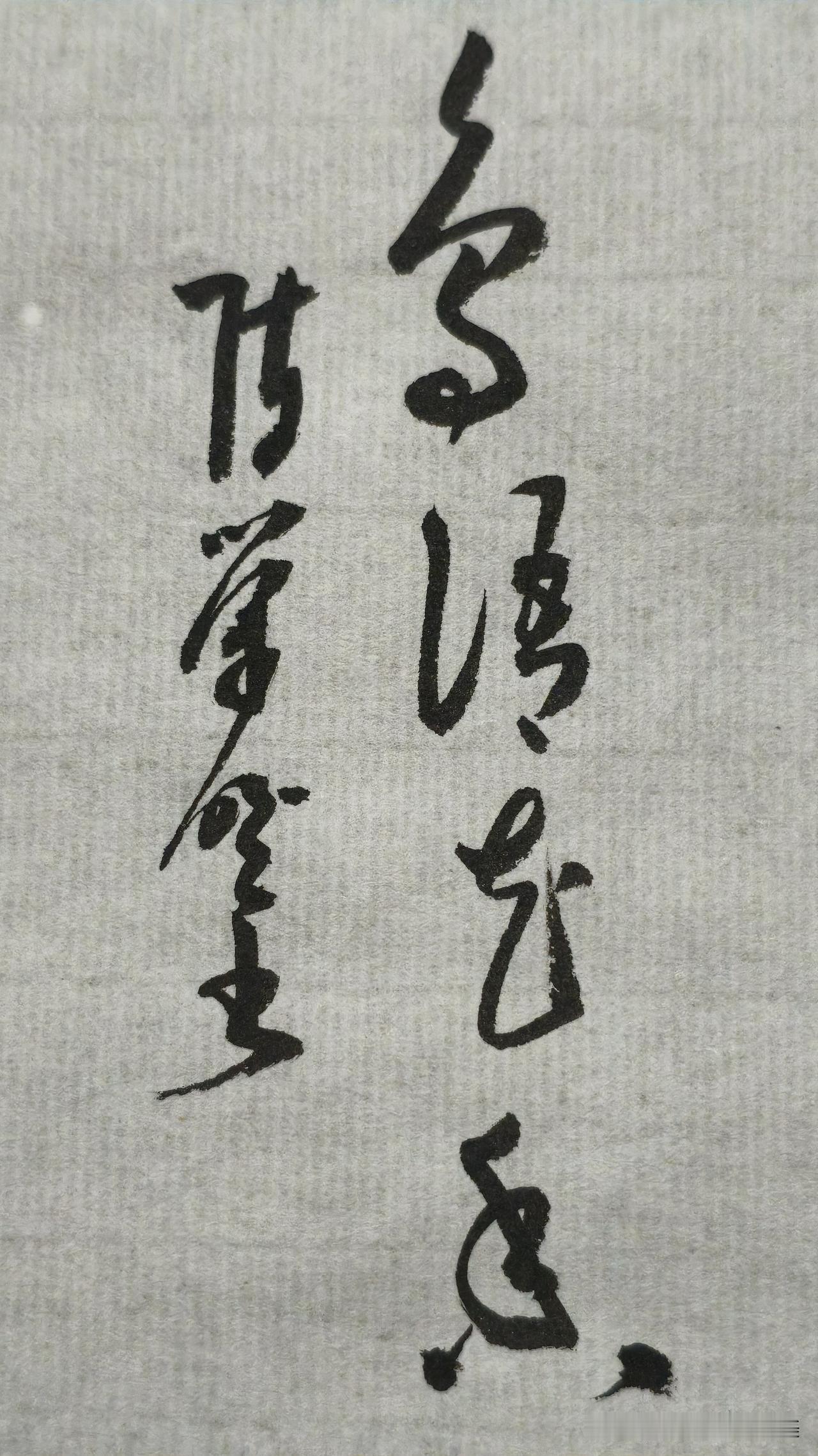 草书精品展示：鸟语花香