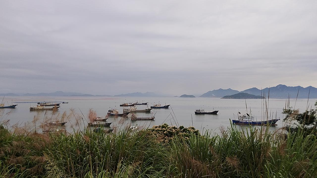 深入推进扫黑除恶常态化，依法严惩黑恶势力及其“保护伞”。杨某昌组织领导黑社会性质