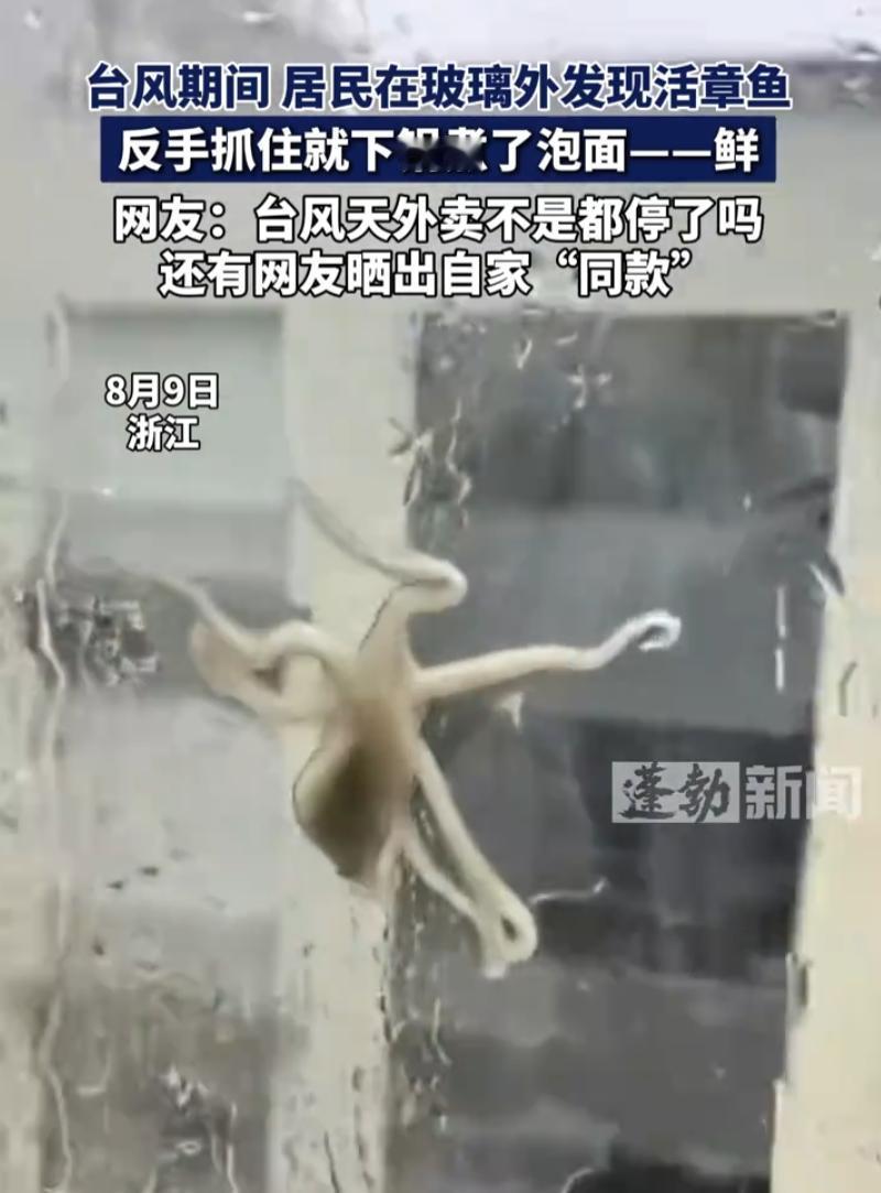 万万没想到！浙江，台风来袭后男子在家中休息，突然看到四楼的玻璃上有个东西，离近一