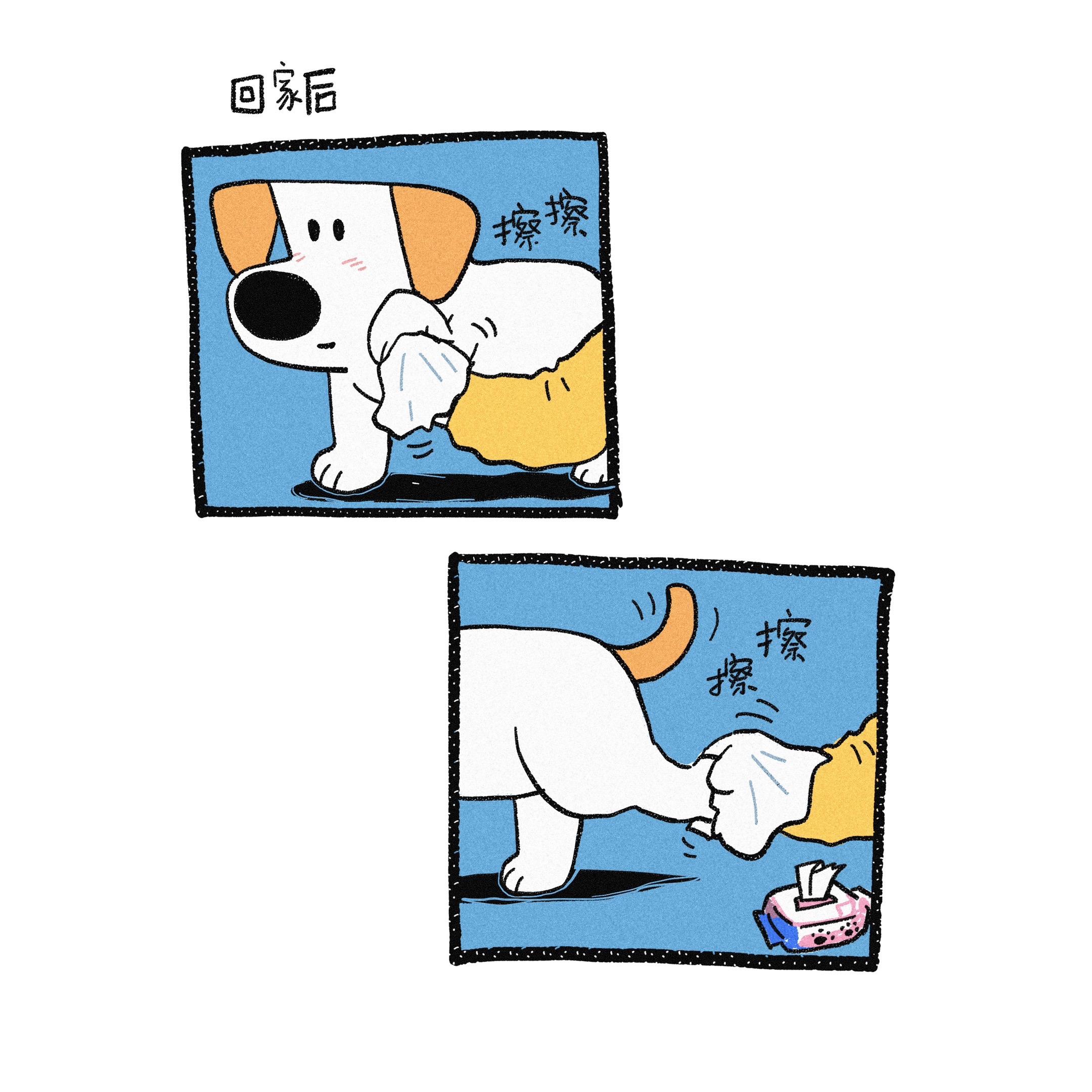曾经做过的那些对不起狗狗的事。。。