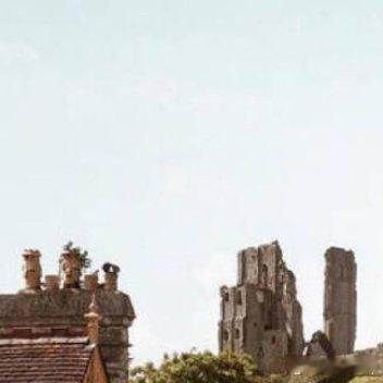 爱很简单，只需陪伴；疼很容易，只需怜惜；懂很平凡，只需温暖 ​​​