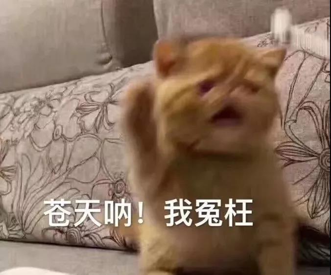 蒙也该蒙对一回啊。这尼玛没道理啊…19中3是人打的啊？nba季后赛 ​​​