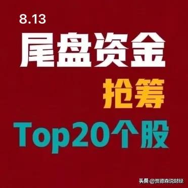 2026年08月13日，A股尾盘30分钟资金抢筹个股前20:

1. 紫光股份，