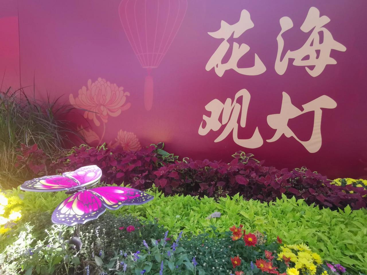 #记录秋日生活点滴#日坛公园朝阳区首届花园节。