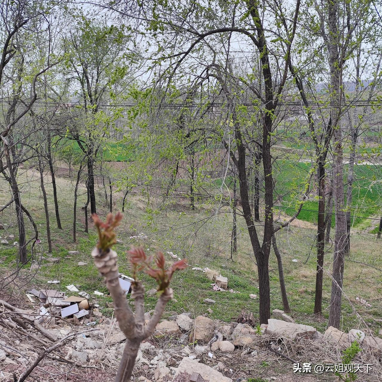  
 
真正不花钱的养生良方，从来都藏在日常里：
 
1. 饮食有节，不贪多
2