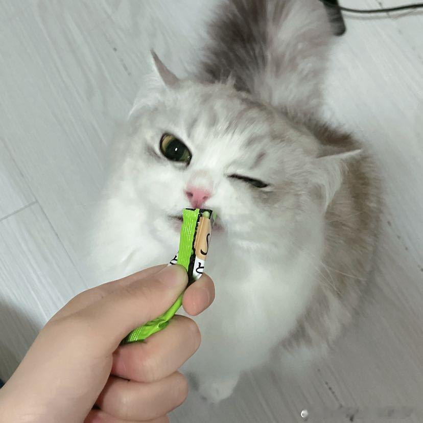 不丢小丢好吃到Wink😺 