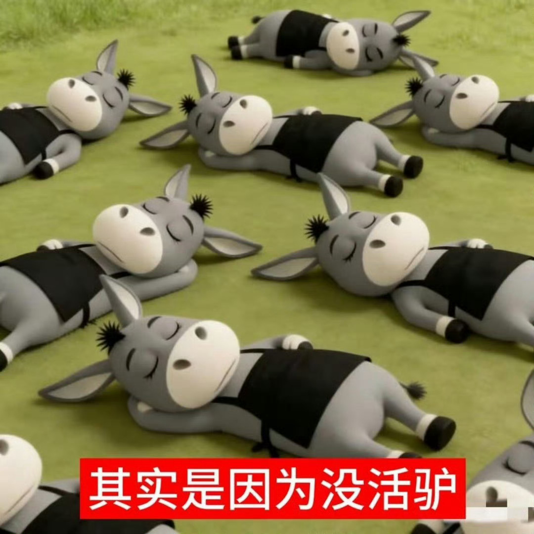 几把的驴呢！？ 