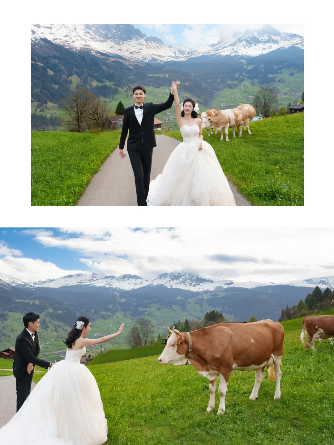 童话瑞士🇨🇭目的地婚礼