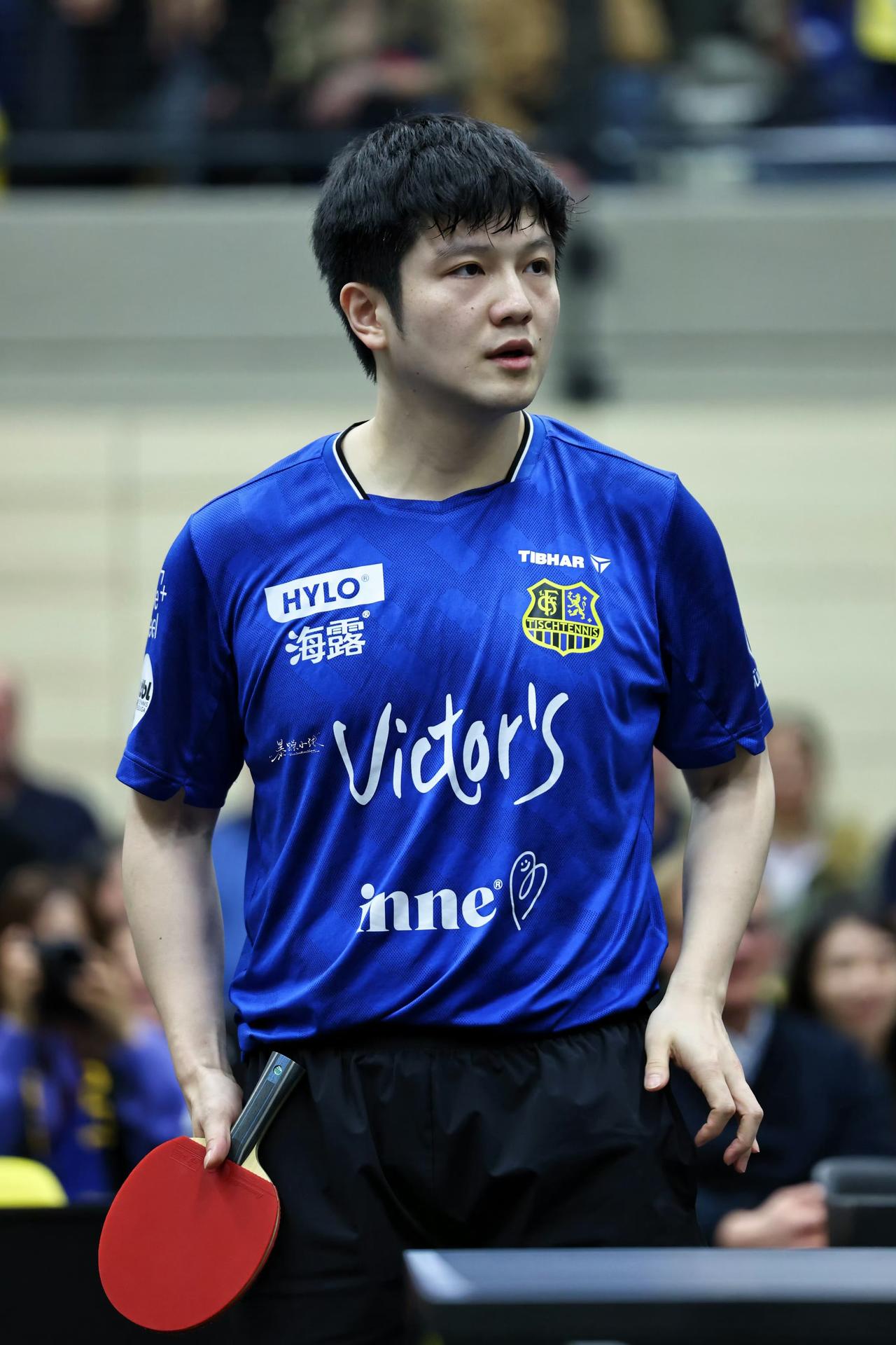 万万没想到，当伦敦世乒赛男队名单公布，樊振东缺席了，像一根刺，扎进了无数球迷心里