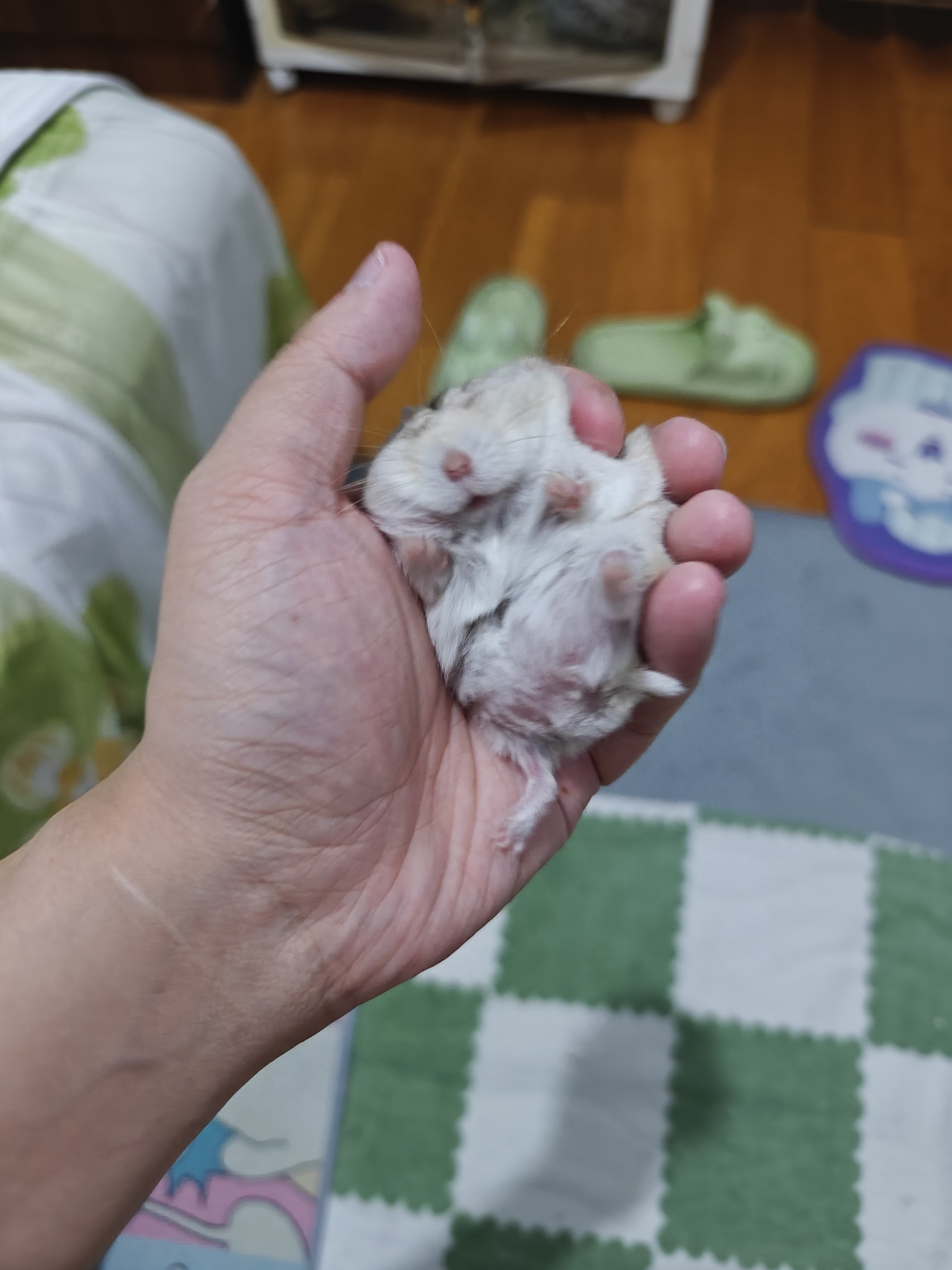 小润我爱你。 ​​​