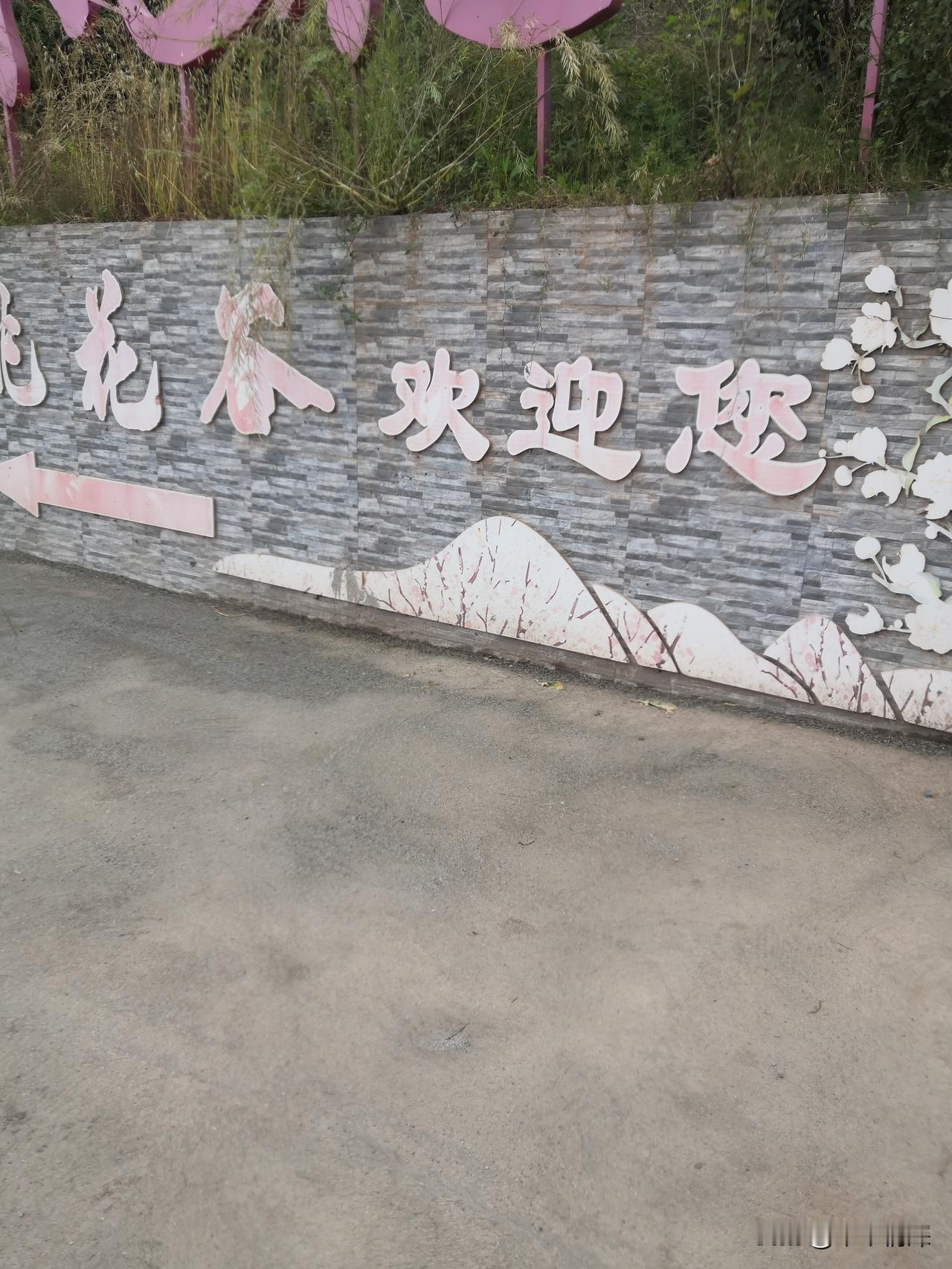 绵阳是一个高科技的科学城，很多的旅游景点和诗仙李白正是一个美的地方，四川九寨归来