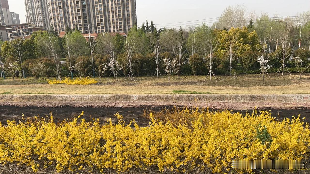 今天回到老家，专程去到我们之前住的村子。心里有无限感慨，十几年前我们夫妻亲手盖的