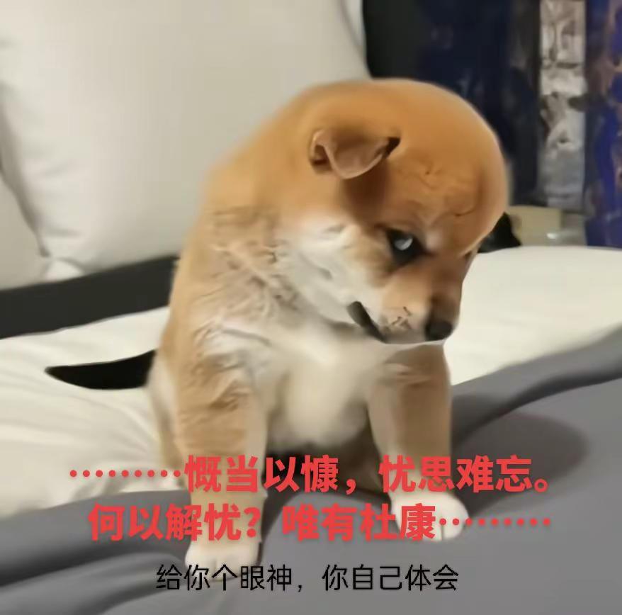 慨当以慷，忧思难忘。何以解忧？唯有杜康。