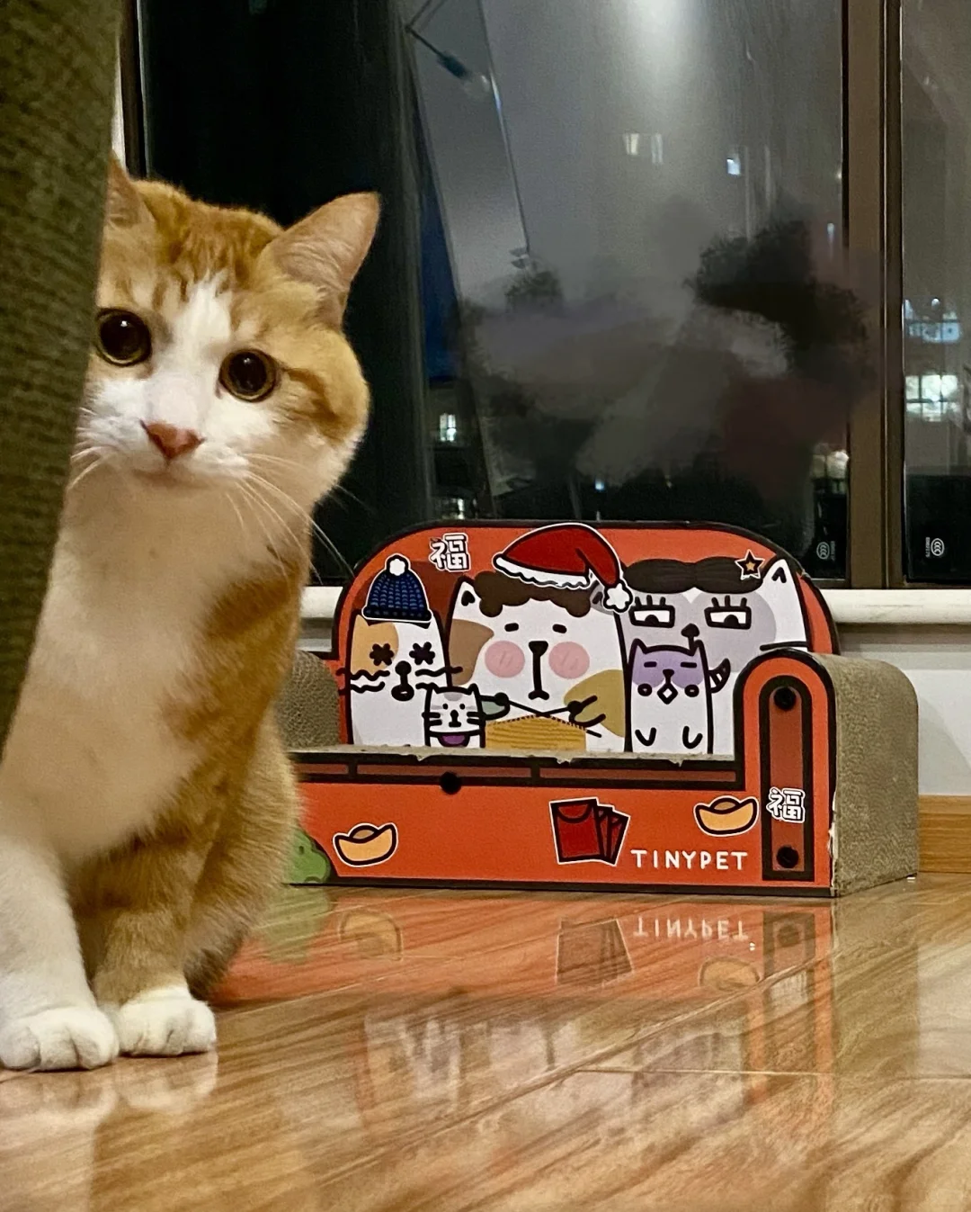 你是sui，怎么来我家玩