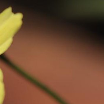 正能量时光不等人，转眼已到人生下半场。愿我们往后余生，不畏将来，不念过往，从容面