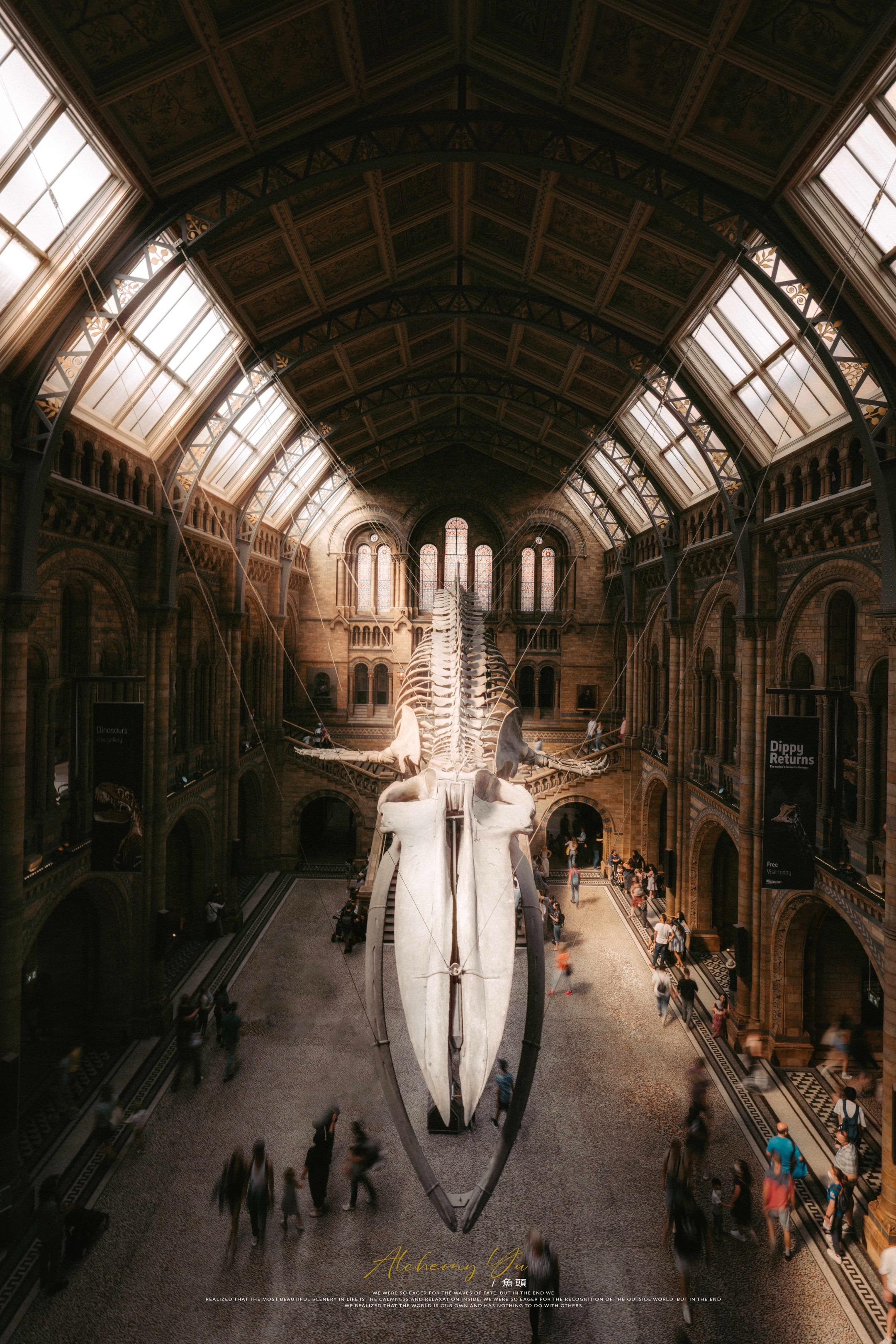 光的形状在此刻具象化📷伦敦宝藏地推荐。📍伦敦自然历史博物馆SW7 ...