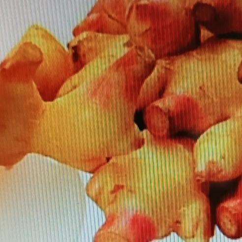 生姜祛斑这事儿听起来挺神，咱来唠唠。生姜里有姜辣素，能促进血液循环，对祛斑可能有