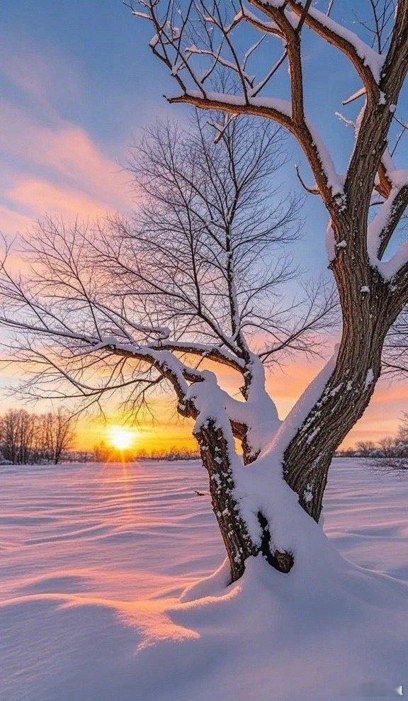 稀有金属10家核心企业分析1. 北方稀土（轻稀土绝对龙头）：全球最大轻稀土供应商