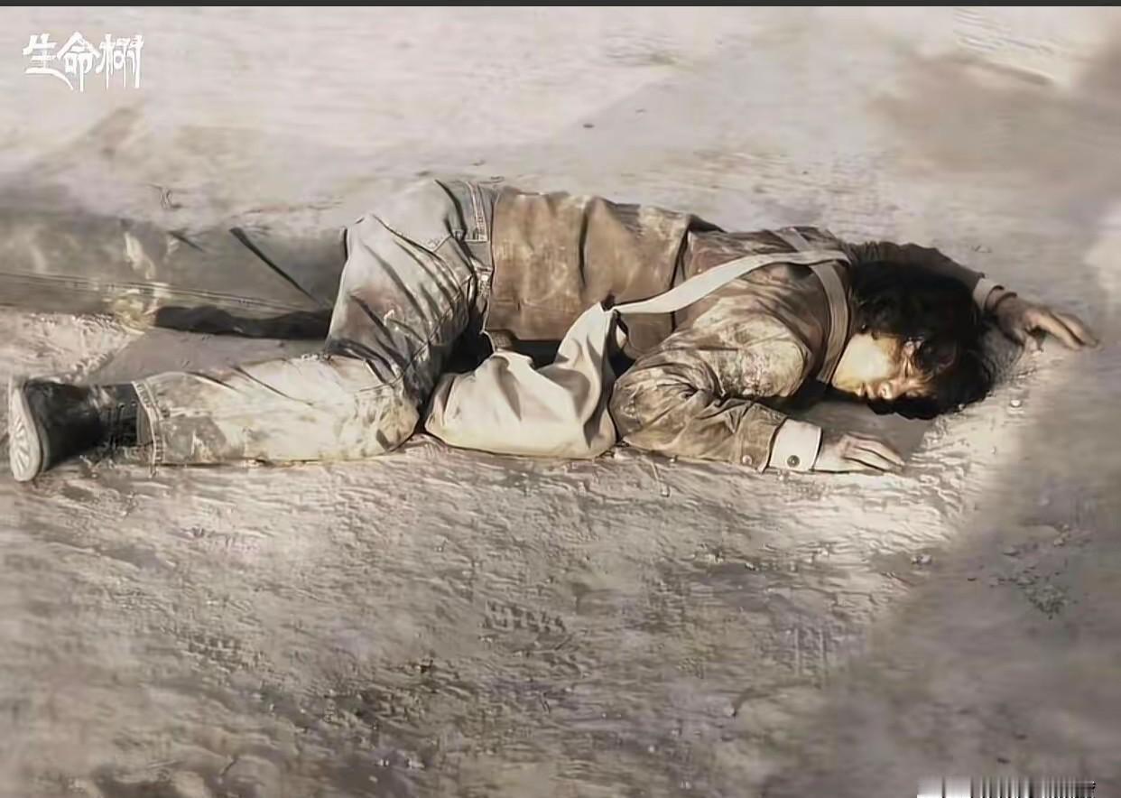 他说等我回来。
可最后，回来的不是他的人，是他用命换来的一整个保护区。
编制外的