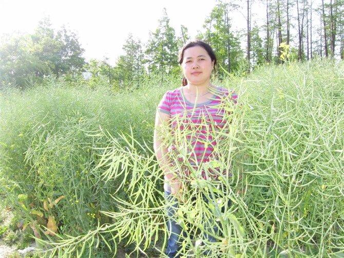 可能也是因为年龄渐长，越来越喜欢独处时光。如雪小禅说，有些茶必须一个人喝，有些路