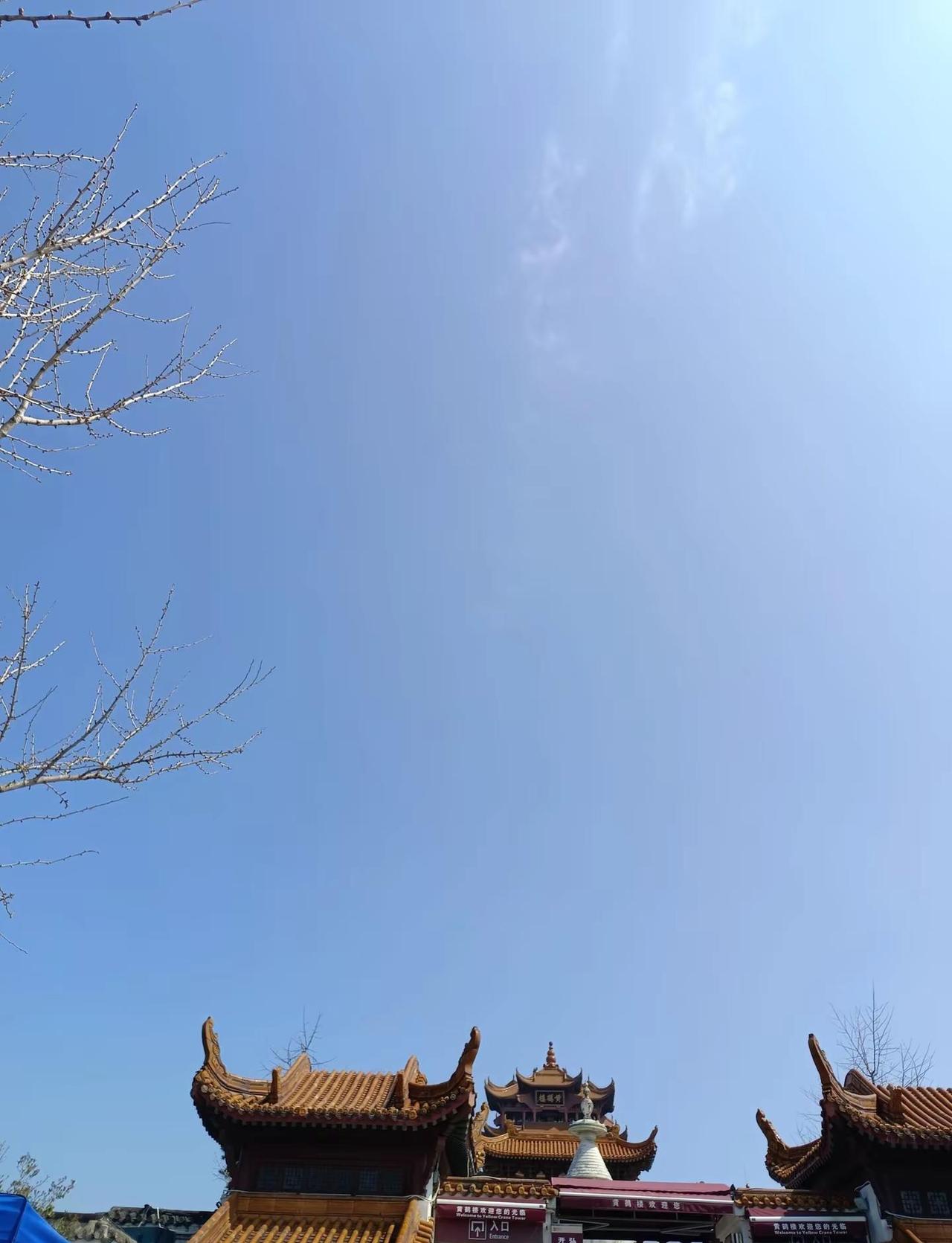 未来一段时间下雨而且又冷，不建议来，相关部门不会骂我吧？/虽然说有一点雨水，樱花