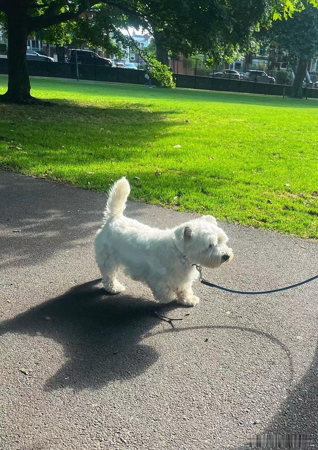 夏令时的UK🇬🇧☀️☀️ ​​​