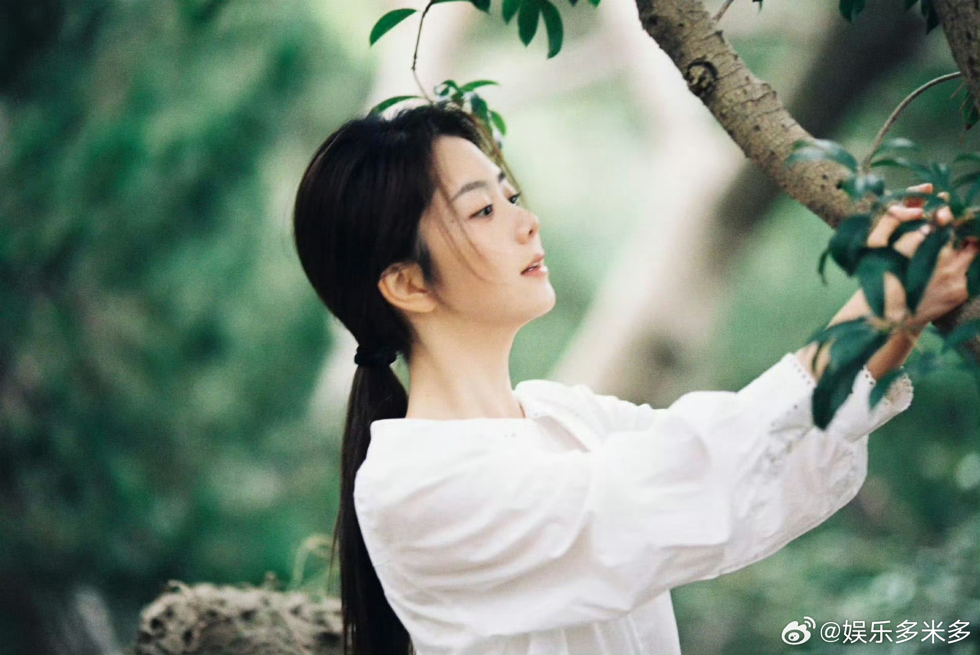 谭松韵我的山与海收视破2.5 谭松韵主演剧集首播酷云收视破2.5，开局成绩亮眼，