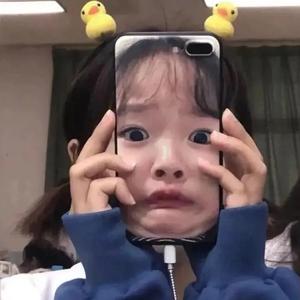 城南花已开半里