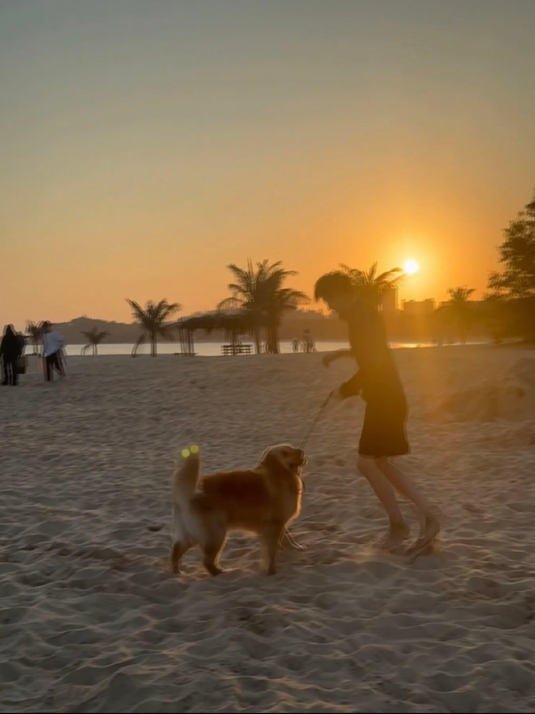 陈思罕的狗叫格格和辣条陈思罕祝所有的修勾们节日快乐 啊啊啊啊陈思罕的狗叫格格和辣