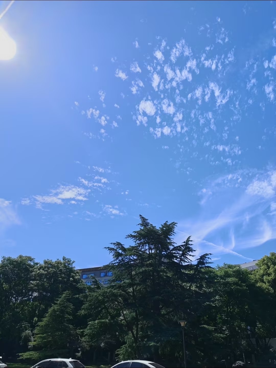 今天又来公园吸氧啦，阳光透过树叶洒下来，坐在草地上发呆超舒服 抬头就是大片云朵，