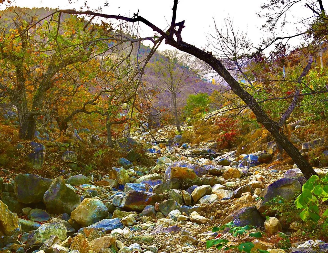 
秋的山，空旷，诗意，随性……