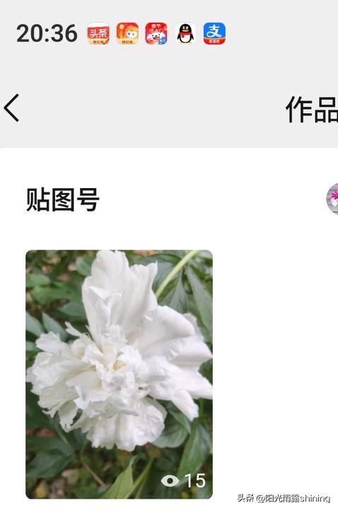 ＃创作打卡挑战赛   最近发现微信App新增了一个贴图号，具体是在微信app主界